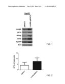 Methods and Kits for Detecting Circulating Cancer Stem Cells diagram and image