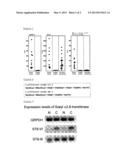 METHOD FOR ANALYZING MUCIN 1 HAVING SIAALPHA2-8SIAALPHA2-3GALBETA GLYCANS diagram and image