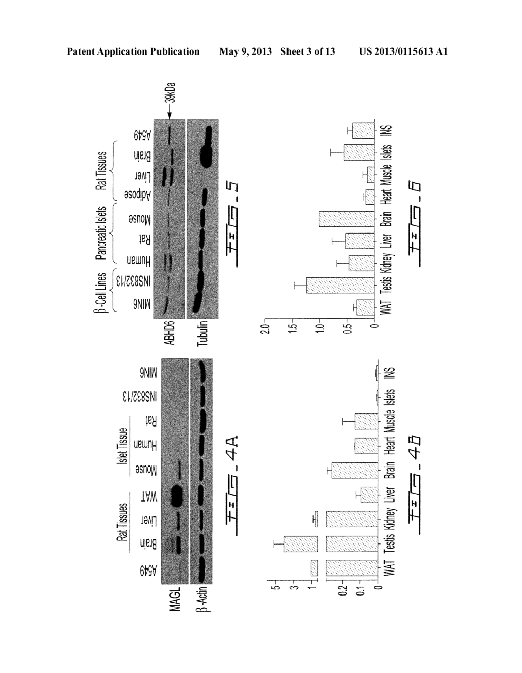 SCREENING ASSAYS BASED ON MAG AND/OR ABHD6 FOR SELECTING INSULIN SECRETION     PROMOTING AGENT - diagram, schematic, and image 04