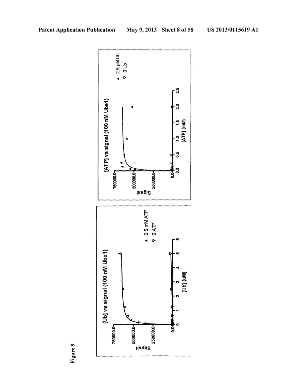 UBIQUITINATION ASSAY - diagram, schematic, and image 09