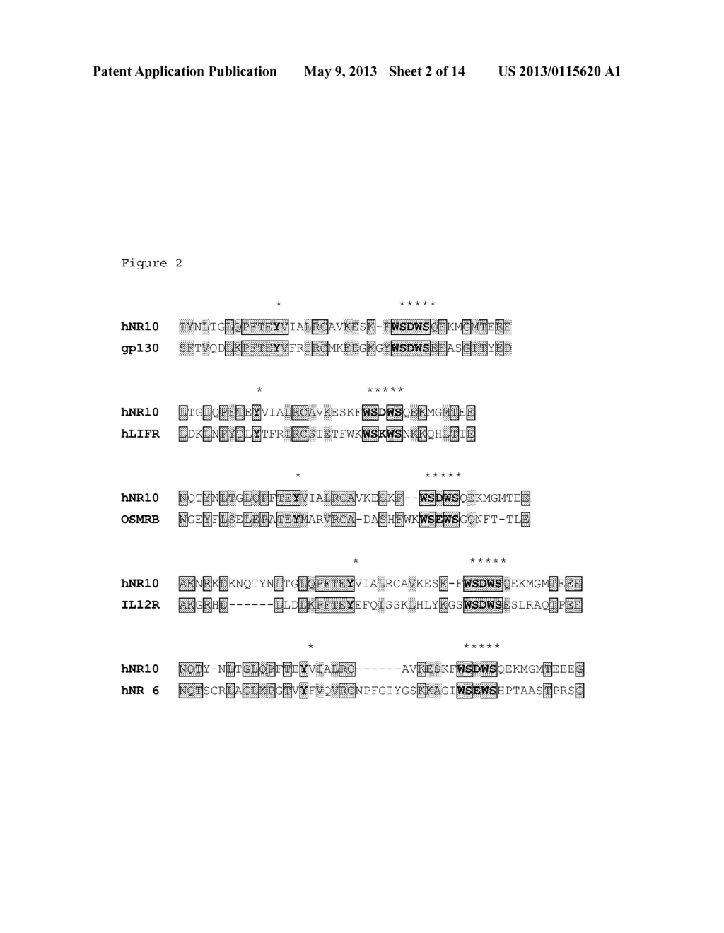 Novel Hemopoietin Receptor Protein, NR10 - diagram, schematic, and image 03