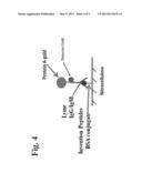 PEPTIDES AND METHODS FOR THE DETECTION OF LYME DISEASE ANTIBODIES diagram and image