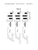 METHOD FOR SCREENING DIABETES TREATING AGENT diagram and image