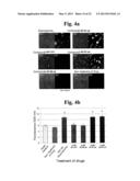 METHOD FOR SCREENING DIABETES TREATING AGENT diagram and image