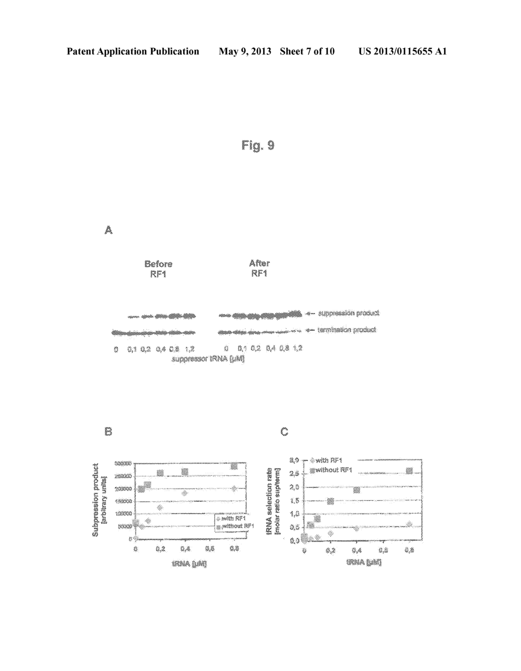 METHOD FOR THE PRODUCTION OF A LYSATE USED FOR CELL-FREE PROTEIN     BIOSYNTHESES - diagram, schematic, and image 08