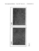 Methods of Screening Embryonic Progenitor Cell Lines diagram and image