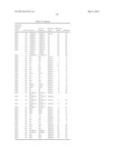 Methods of Screening Embryonic Progenitor Cell Lines diagram and image