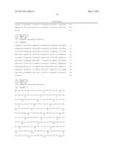 High Fidelity Restriction Endonucleases diagram and image