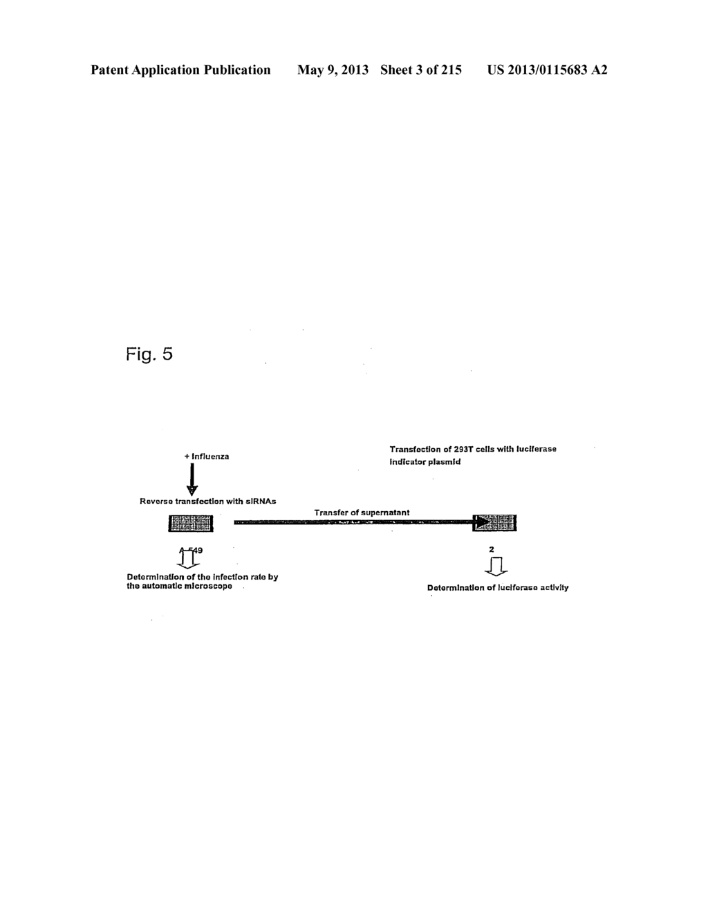 METHOD FOR THE PREPARATION OF A PHARMACEUTICAL COMPOSITION - diagram, schematic, and image 04