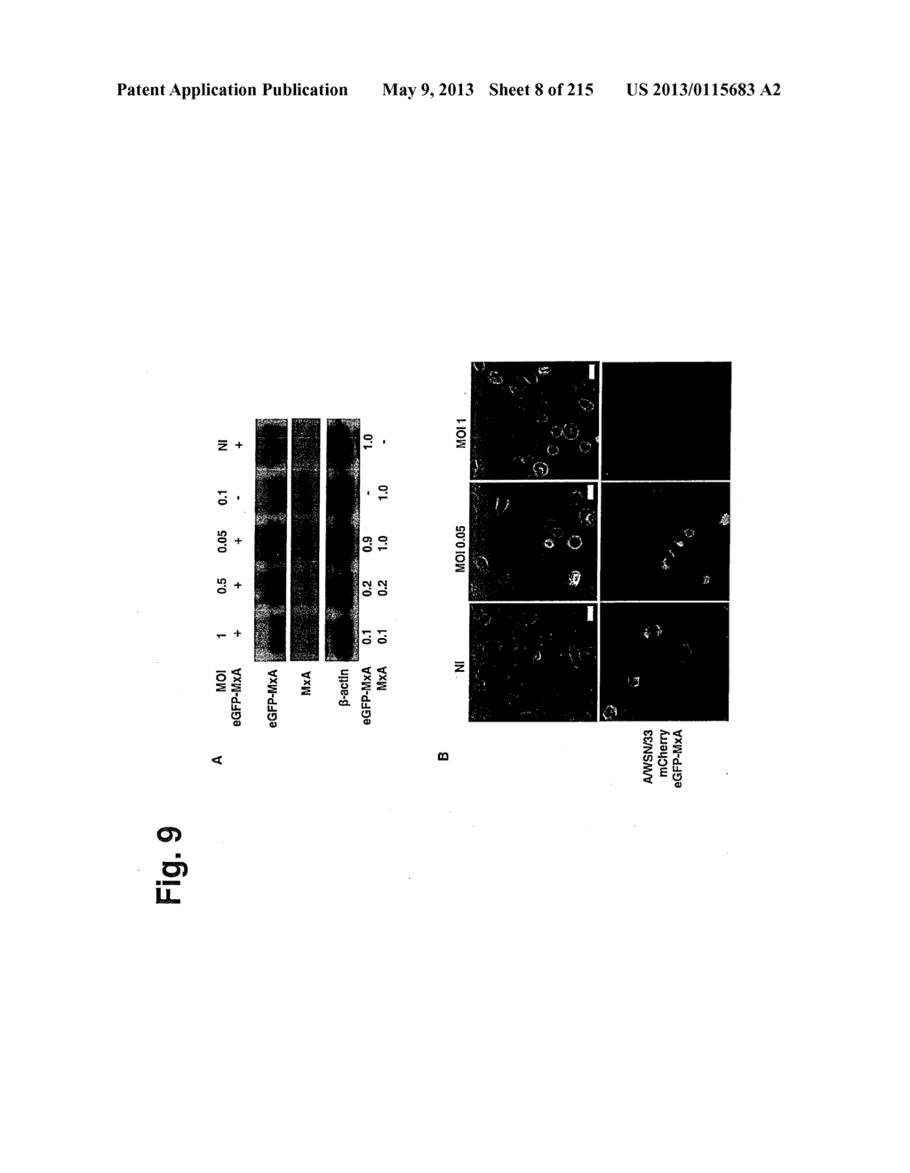 METHOD FOR THE PREPARATION OF A PHARMACEUTICAL COMPOSITION - diagram, schematic, and image 09