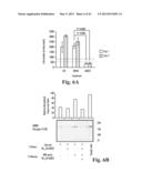 SCALABLE PRIMATE PLURIPOTENT STEM CELL AGGREGATE SUSPENSION CULTURE AND     DIFFERENTIATION THEREOF diagram and image