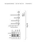 SCALABLE PRIMATE PLURIPOTENT STEM CELL AGGREGATE SUSPENSION CULTURE AND     DIFFERENTIATION THEREOF diagram and image