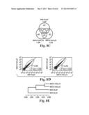 SCALABLE PRIMATE PLURIPOTENT STEM CELL AGGREGATE SUSPENSION CULTURE AND     DIFFERENTIATION THEREOF diagram and image