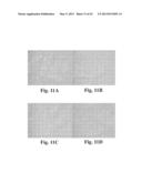 SCALABLE PRIMATE PLURIPOTENT STEM CELL AGGREGATE SUSPENSION CULTURE AND     DIFFERENTIATION THEREOF diagram and image