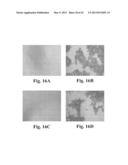 SCALABLE PRIMATE PLURIPOTENT STEM CELL AGGREGATE SUSPENSION CULTURE AND     DIFFERENTIATION THEREOF diagram and image