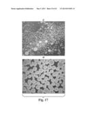 SCALABLE PRIMATE PLURIPOTENT STEM CELL AGGREGATE SUSPENSION CULTURE AND     DIFFERENTIATION THEREOF diagram and image