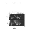 SCALABLE PRIMATE PLURIPOTENT STEM CELL AGGREGATE SUSPENSION CULTURE AND     DIFFERENTIATION THEREOF diagram and image