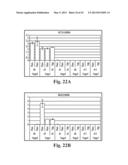 SCALABLE PRIMATE PLURIPOTENT STEM CELL AGGREGATE SUSPENSION CULTURE AND     DIFFERENTIATION THEREOF diagram and image