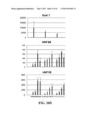 SCALABLE PRIMATE PLURIPOTENT STEM CELL AGGREGATE SUSPENSION CULTURE AND     DIFFERENTIATION THEREOF diagram and image