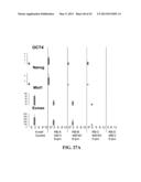 SCALABLE PRIMATE PLURIPOTENT STEM CELL AGGREGATE SUSPENSION CULTURE AND     DIFFERENTIATION THEREOF diagram and image