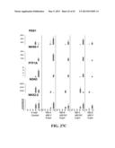 SCALABLE PRIMATE PLURIPOTENT STEM CELL AGGREGATE SUSPENSION CULTURE AND     DIFFERENTIATION THEREOF diagram and image