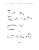 POLYPLEX GENE DELIVERY VECTORS diagram and image