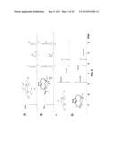 POLYPLEX GENE DELIVERY VECTORS diagram and image