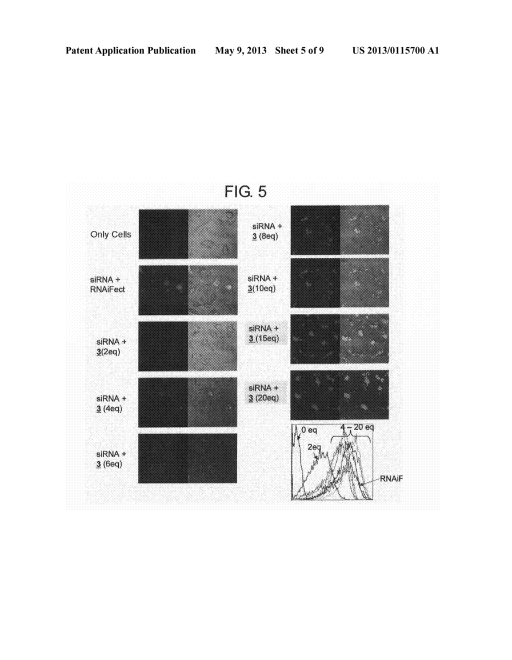 METHOD FOR TRANSFECTING NUCLEIC ACID TO CELL AND NUCLEIC ACID COMPLEX - diagram, schematic, and image 06