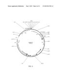 TRANSGENIC PHOTOSYNTHETIC MICROORGANISMS diagram and image