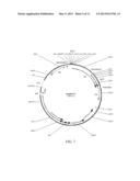 TRANSGENIC PHOTOSYNTHETIC MICROORGANISMS diagram and image