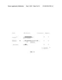 TRANSGENIC PHOTOSYNTHETIC MICROORGANISMS diagram and image