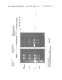 WESTERN BLOT ANALYTICAL TECHNIQUE diagram and image