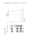 WESTERN BLOT ANALYTICAL TECHNIQUE diagram and image