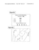 System and Method for Monitoring the Location of Individuals via the World     Wide Web Using a Wireless Communications Network diagram and image