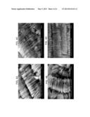 Control of Clay Crystallite Size for Shrinkage Management diagram and image