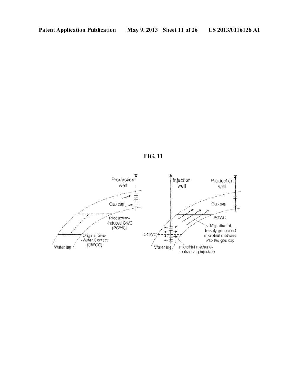 COMPOSITIONS AND METHODS FOR IDENTIFYING AND MODIFYING CARBONACEOUS     COMPOSITIONS - diagram, schematic, and image 12