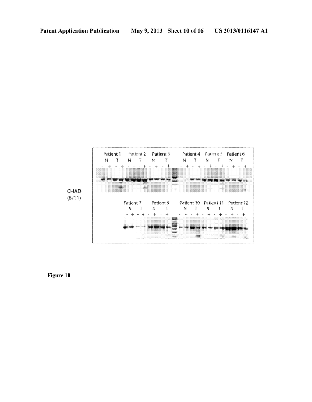 DNA METHYLATION BIOMARKERS FOR LUNG CANCER - diagram, schematic, and image 11