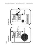 LIVER DISEASE MARKER, METHOD AND APPARATUS FOR MEASURING THE SAME, AND     METHOD FOR ASSAYING PHARMACEUTICAL PREPARATION diagram and image