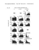 LIVER DISEASE MARKER, METHOD AND APPARATUS FOR MEASURING THE SAME, AND     METHOD FOR ASSAYING PHARMACEUTICAL PREPARATION diagram and image