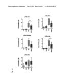 LIVER DISEASE MARKER, METHOD AND APPARATUS FOR MEASURING THE SAME, AND     METHOD FOR ASSAYING PHARMACEUTICAL PREPARATION diagram and image