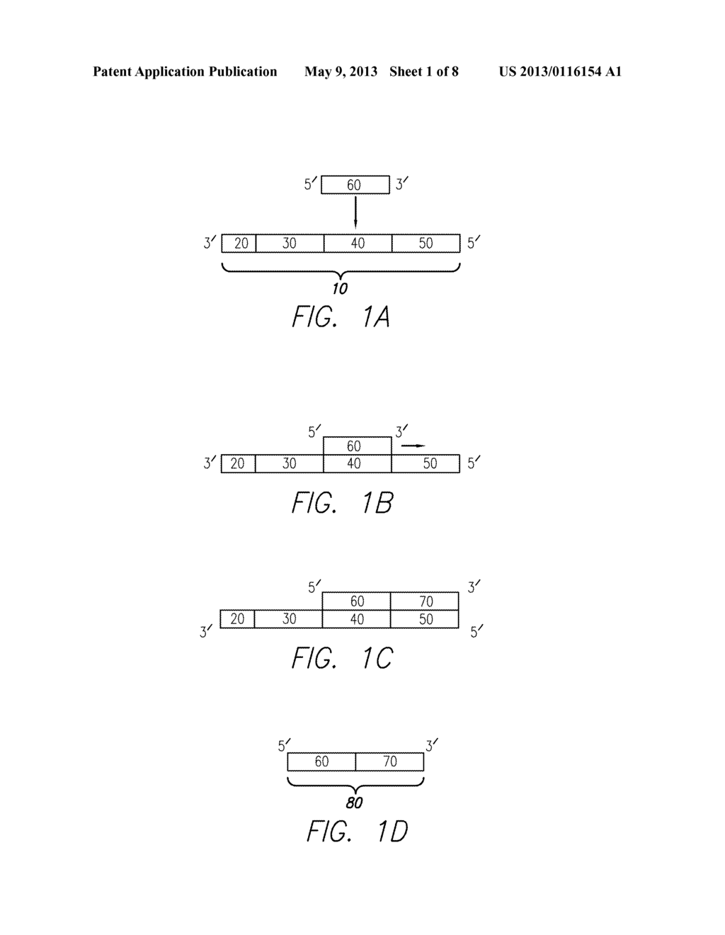 METHOD AND SUBSTANCES FOR ISOLATION AND DETECTION OF SMALL POLYNUCLEOTIDES - diagram, schematic, and image 02