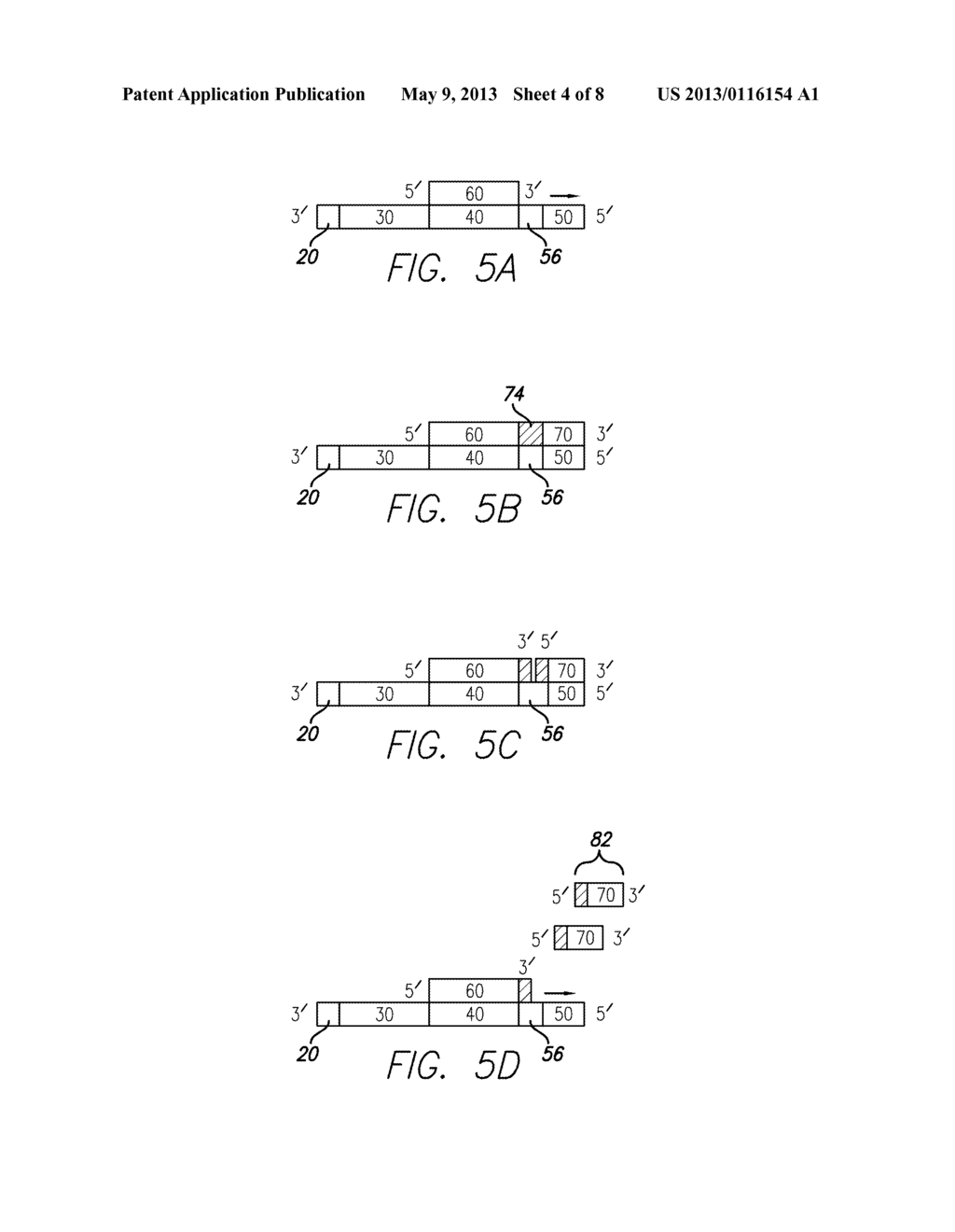 METHOD AND SUBSTANCES FOR ISOLATION AND DETECTION OF SMALL POLYNUCLEOTIDES - diagram, schematic, and image 05