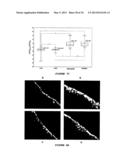 COSMETIC COMPOSITION FOR RESTORING LIPIDIC LAYER OF THE STRATUM CORNEUM IN     ORTHORHOMBIC diagram and image