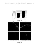 COSMETIC COMPOSITION FOR RESTORING LIPIDIC LAYER OF THE STRATUM CORNEUM IN     ORTHORHOMBIC diagram and image