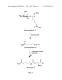 ISOTHIOCYNATES AND GLUCOSINOLATE COMPOUNDS AND ANTI-TUMOR COMPOSITIONS     CONTAINING SAME diagram and image