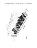 ISOTHIOCYNATES AND GLUCOSINOLATE COMPOUNDS AND ANTI-TUMOR COMPOSITIONS     CONTAINING SAME diagram and image