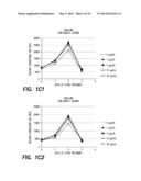 Method and Composition for Treatment of Tumors diagram and image