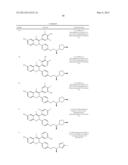 ESTROGEN RECEPTOR MODULATORS AND USES THEREOF diagram and image