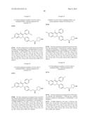 ESTROGEN RECEPTOR MODULATORS AND USES THEREOF diagram and image