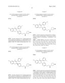 ESTROGEN RECEPTOR MODULATORS AND USES THEREOF diagram and image